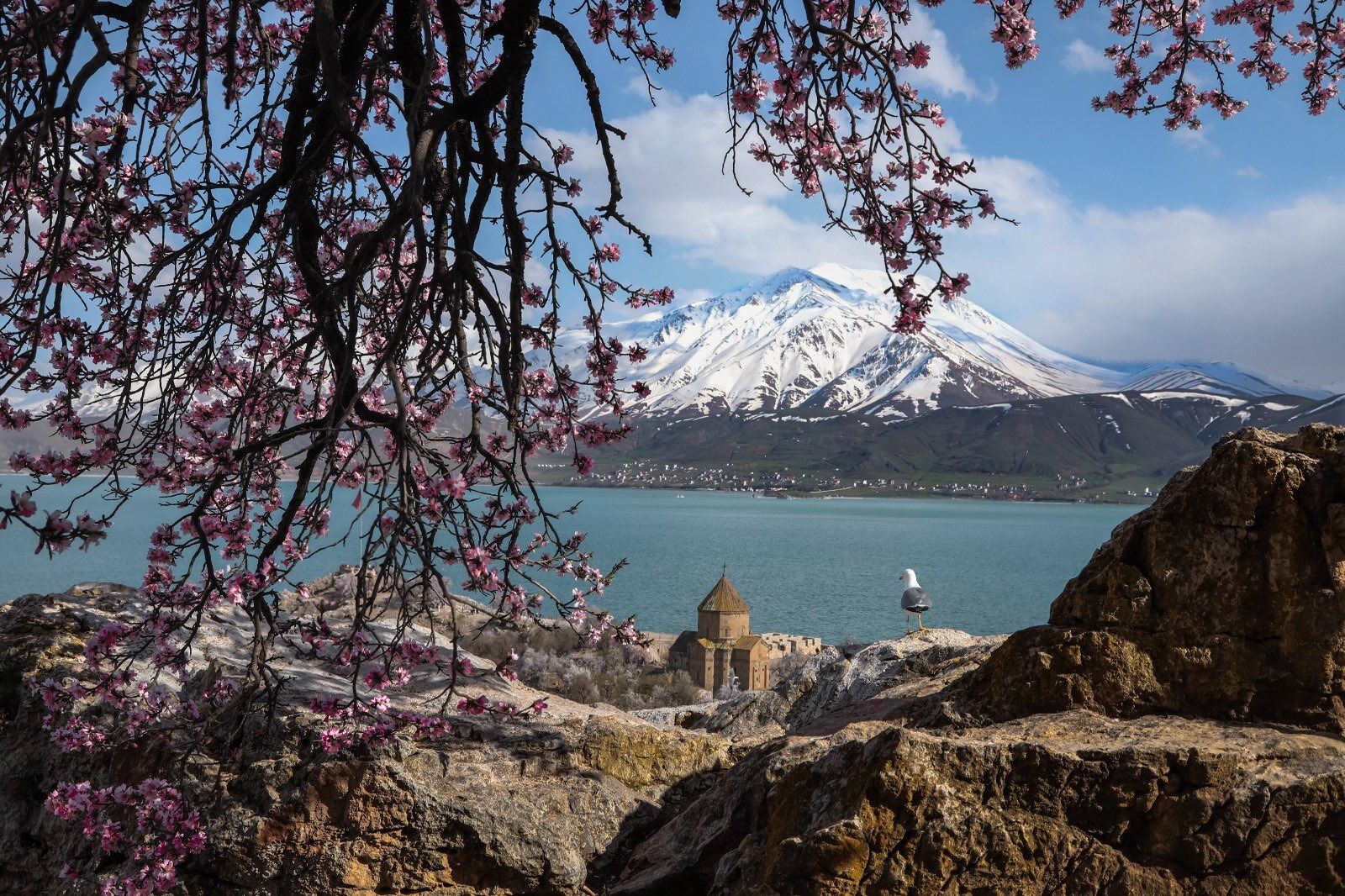 Whatsapp Image 2026 04 30 At 11.53.33