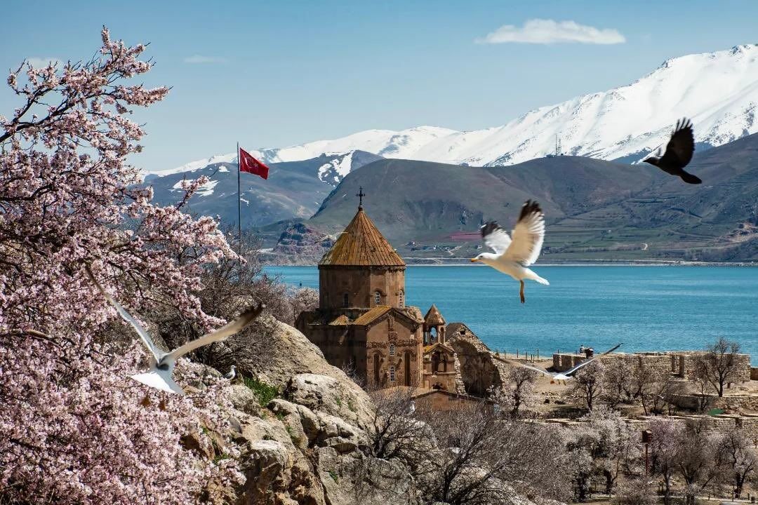 Whatsapp Image 2026 04 30 At 11.54.18