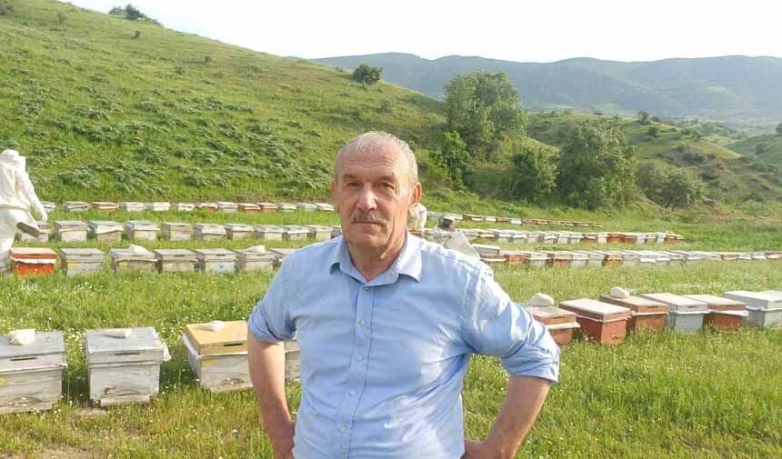 Arıcılık Mesaisi