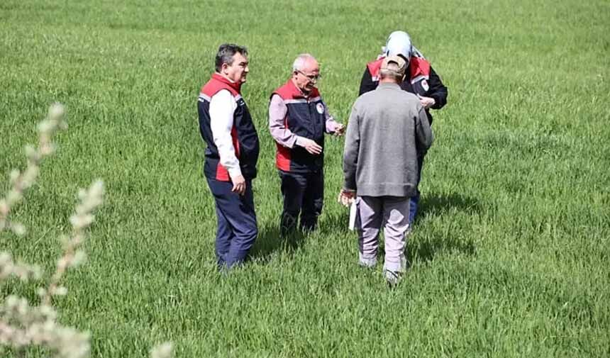 Sarı Pas.jpg9