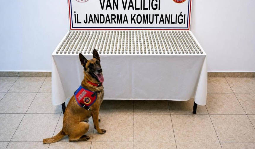 Van'da 8 İranlı'nın midesinden çıkanlar şok etti!