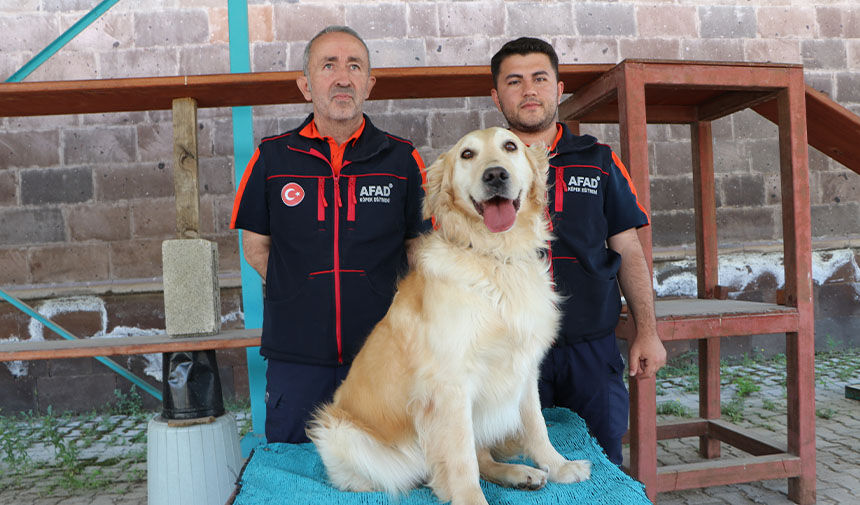 Afad Köpek