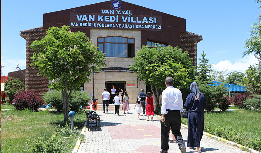 Kedi̇ Evi̇ Diş