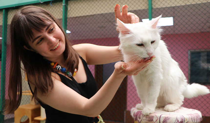 Kedi̇ Sevi̇m