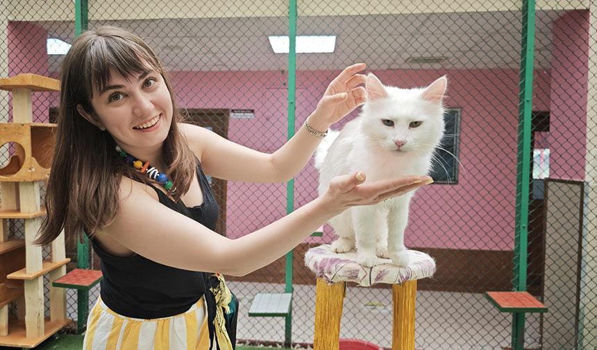 Van Kedi̇ Evi̇