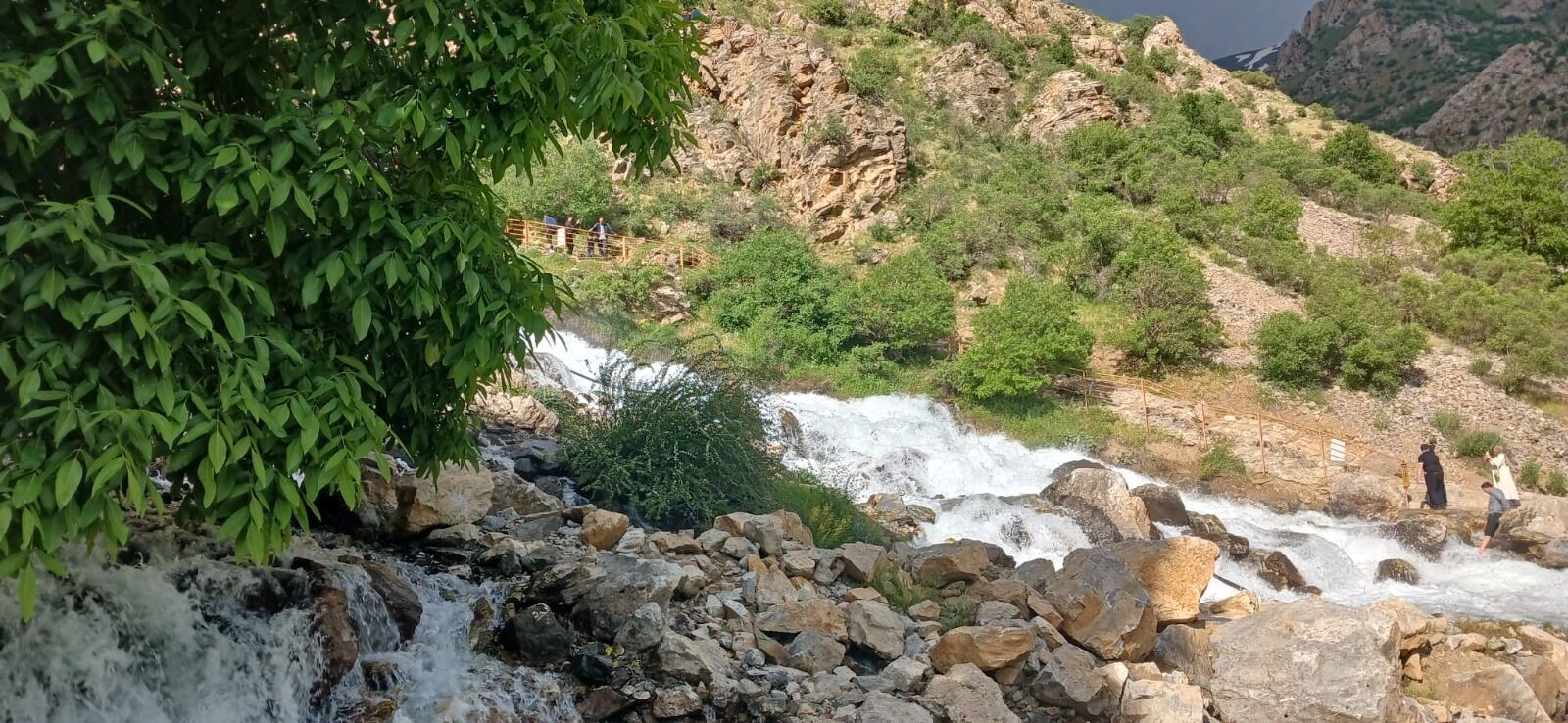 Whatsapp Image 2026 06 24 At 12.14.33