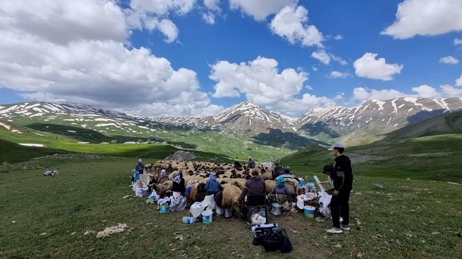 Norduz Koyunları Uydu 2