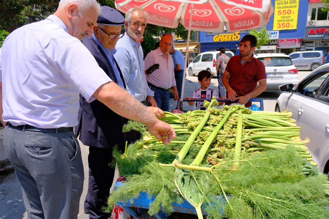 Uckun Yayla Muzu 3