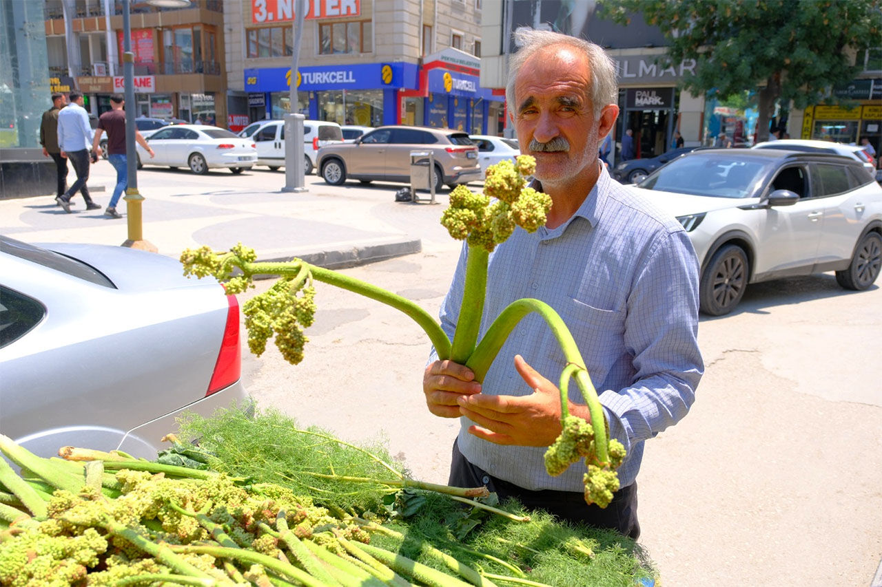 Uckun Yayla Muzu 5