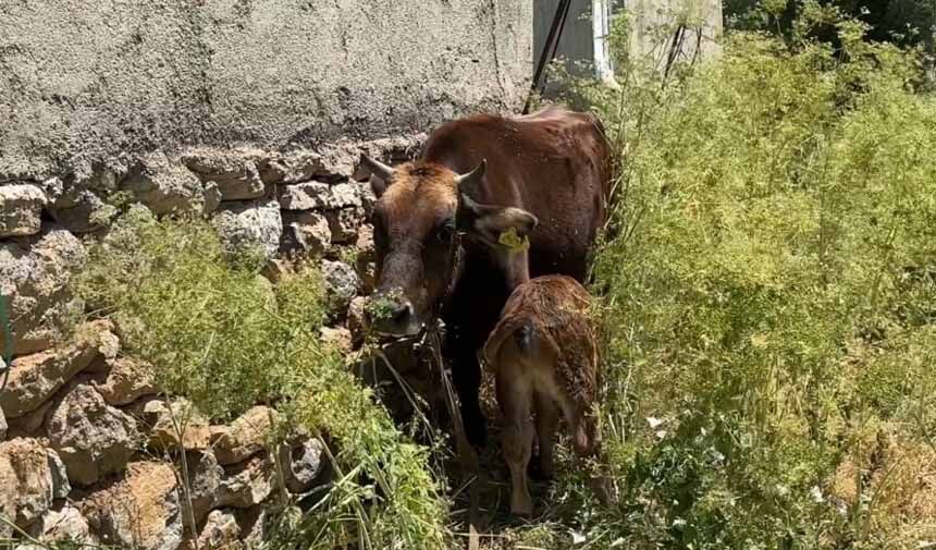 Yardım Severlerin Eli Uzatıldı