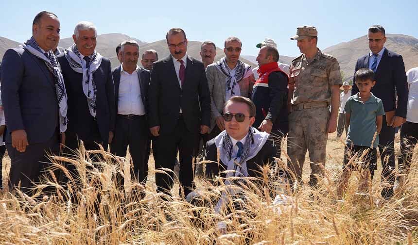 Buğday Hasadı.jpg3-1