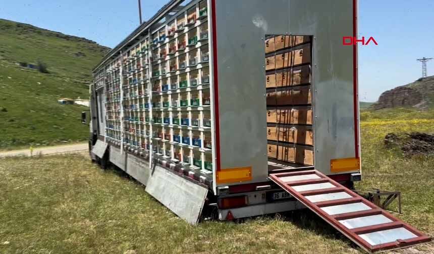 Mobil Bal Üretim