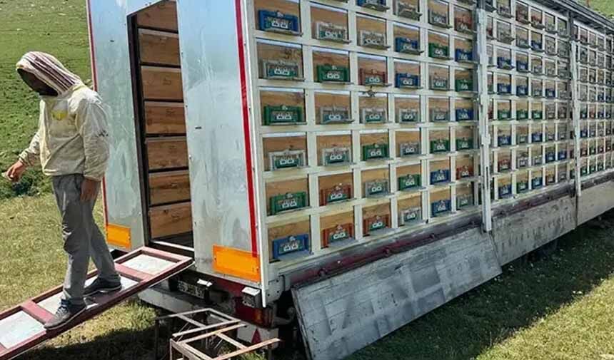 Mobil Bal Üretim4