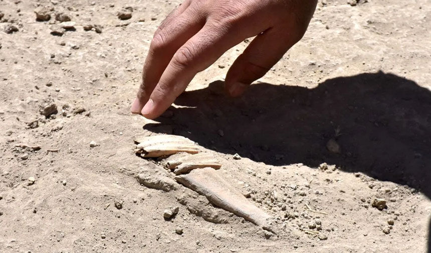 Van Geçmi̇ş ,Z