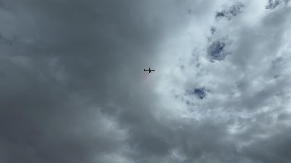 A W798838 09