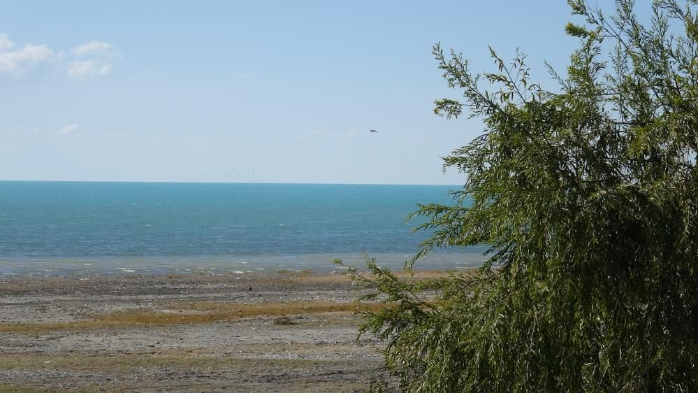 A W818465 02