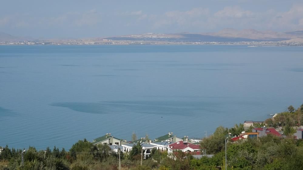 A W818465 04