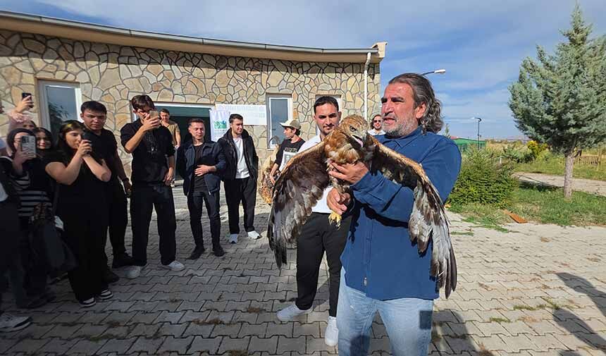 Göçmen Kuş.jpg7