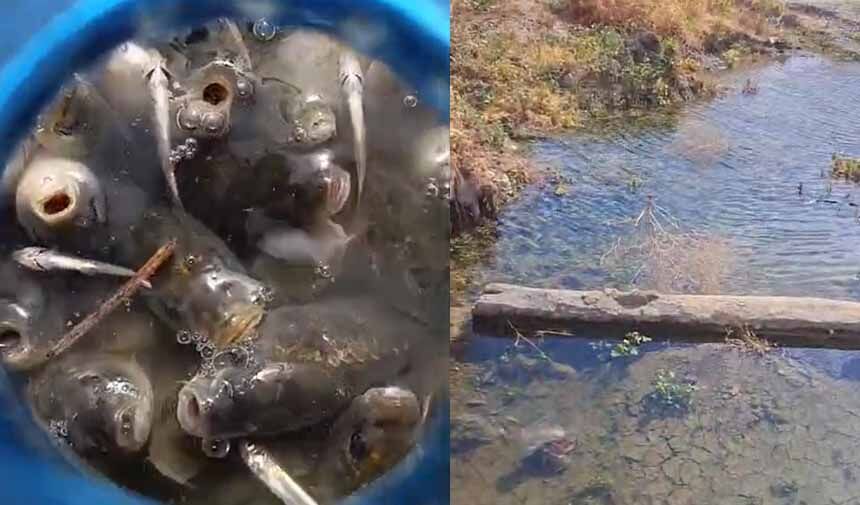 Kurtarma Seferberliği