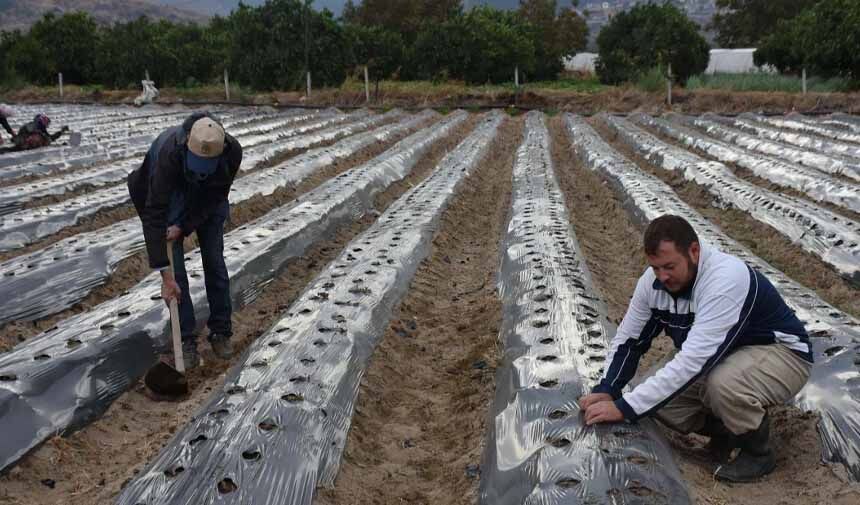 Organik Tarım-1