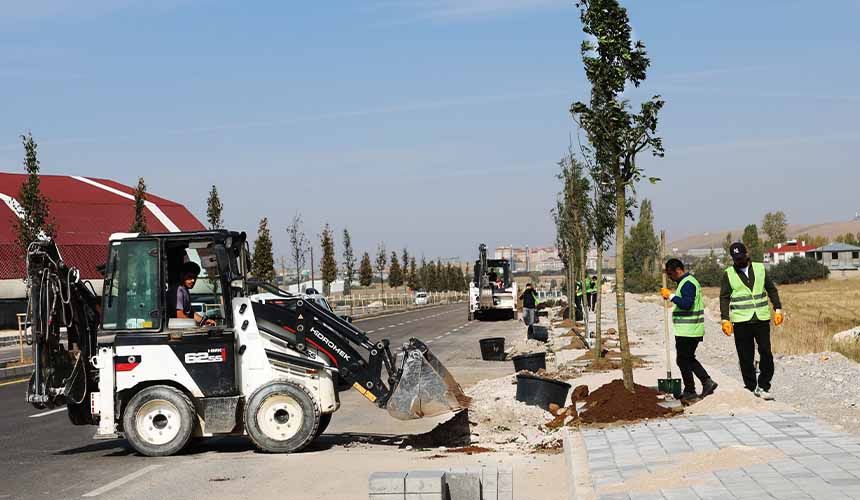 Sahil Yolu-5