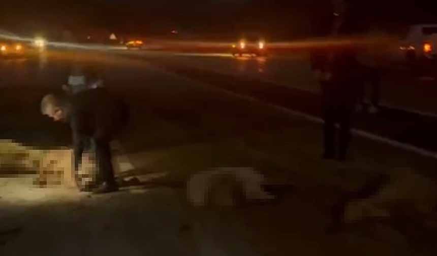 Sürüye çarpan otomobilin sürücüsü ve yolcular ölümden döndü