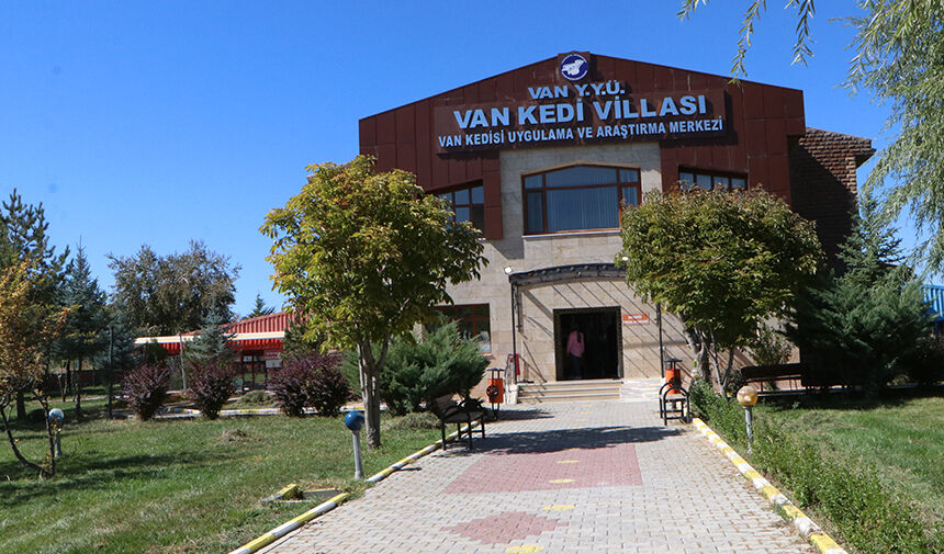 Van Kedi̇ Vi̇llasi Te