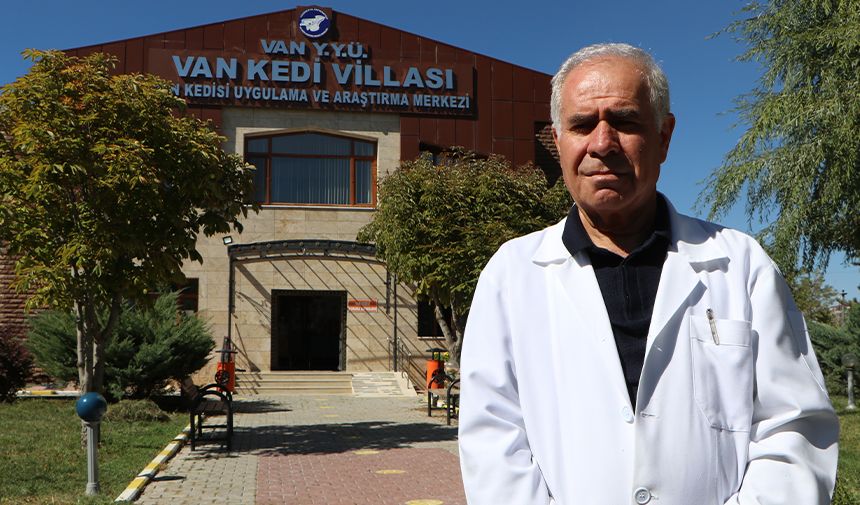 Vi̇lla Doktor